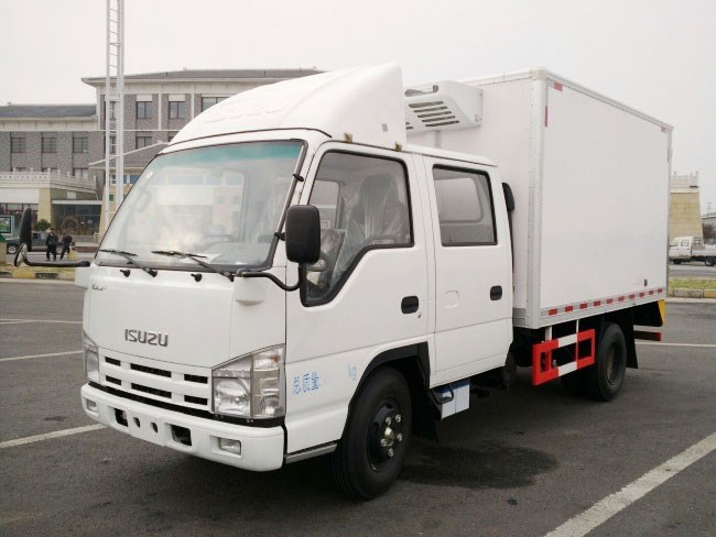 (厢长3.15米)五十铃双排冷藏车
